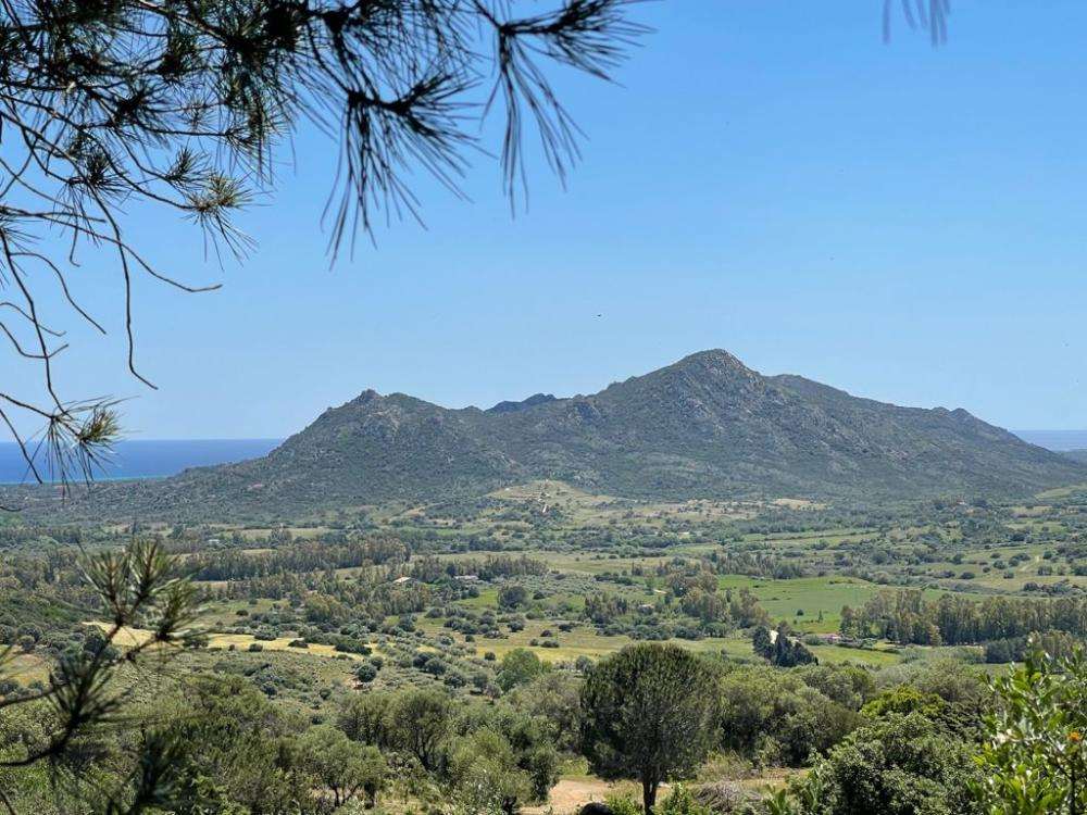 2 Wunderschöne Häuser mit Meerblick und 5 ha Grund