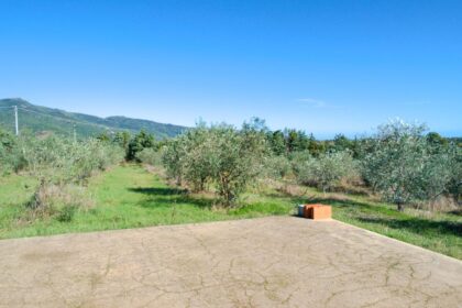 Ca. 1,4 ha Olivenhain mit Baugenehmigung, 08020 Torpè (Italien), Land-/Forstwirtschaft