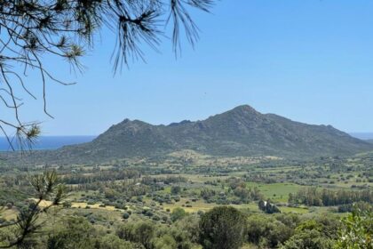 2 Wunderschöne Häuser mit Meerblick und 5 ha Grundstück, 08029 Siniscola (Italien), Haus