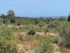 Approx. 120ha agricultural land, approx. 3km from the sea - Bild