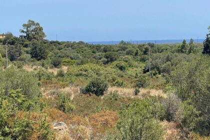 Approx. 120ha agricultural land, approx. 3km from the sea, 08020 Posada (Italy), Land